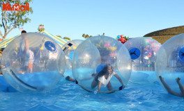 the walk on water bubble ball